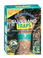 click here for details of Glue Band Traps