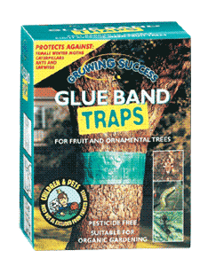 illustration of Glue Band Traps