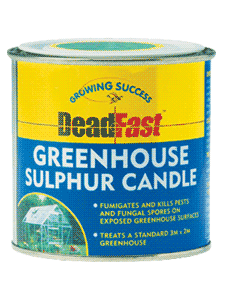 illustration of Greenhouse Sulphur Candle
