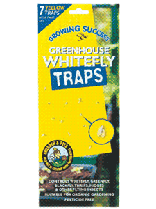 illustration of Greenhouse Whitefly Traps