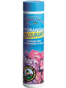 illustration of Hydrangea Colourant